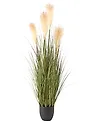Kunstpflanze CORTADERIA GRASS 120 cm Grün