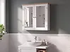 Bad-Spiegelschrank ALAMOS 65 cm x 60 cm Weiß