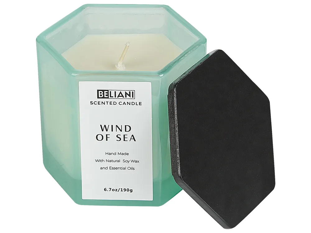 Scented Candle with Fragrance Reed Diffuser CLASSY TINT Soy Wax Fresh Notes_874418