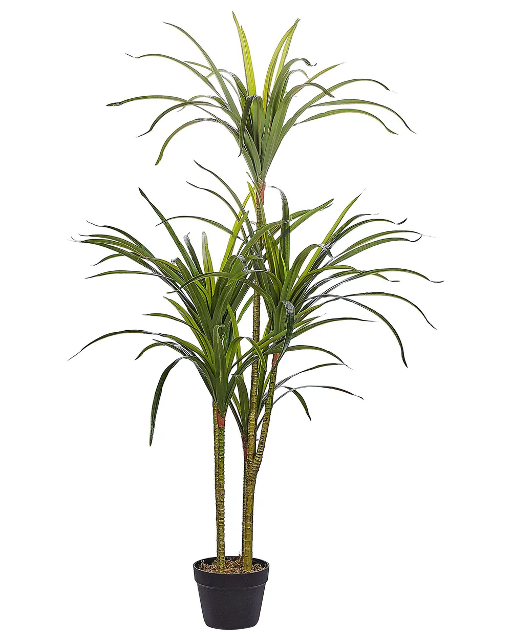 Kunstpflanze DRACAENA ANITA 147 cm Grün