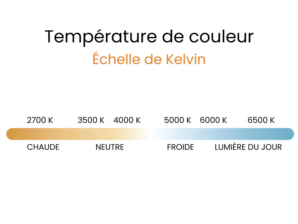 Ventilateur de plafond avec lampe JIBOA Avec télécommande Noir_1094558