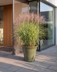 Blumenkübel OLIVA 47 cm Grün_1087537