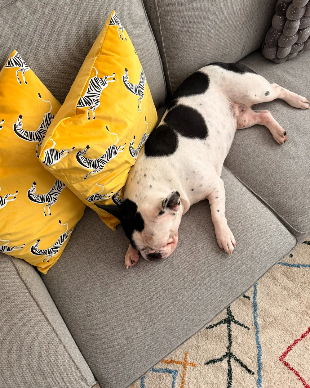 Set of 2 Decorative Cushions ACONITUM 45 x 45 cm Velvet Yellow Animal Pattern_983017