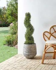 Kunstpflanze BUXUS SPIRAL TREE 98 cm Grün_901126