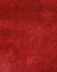 Shaggy Rug EVREN Red 80 x 150 cm_758814