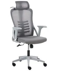 Bürostuhl ERGONOX Grau_1065536