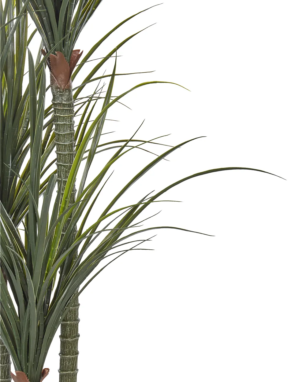 Kunstpflanze DRACAENA ANITA 198 cm Grün_917168