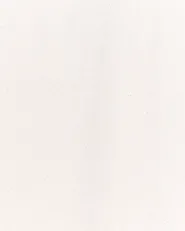 Gartentrennwand 5-teilig ALBEROBELLO klappbar Hellbraun_1047618