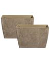 Set of 2 Plant Pots SILENEV 59 cm Brown