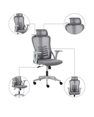 Pisarniški stol ERGONOX Siva_1071051