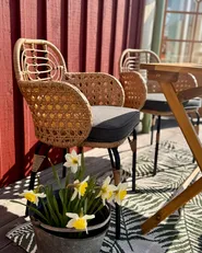 Set mit 4 Stühlen und Sitzkissen PRATELLO Polyrattan Naturfarben_979709