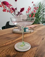Martini Gläser 4er Set DIOPSIDE 250 ml Rosa_1030900