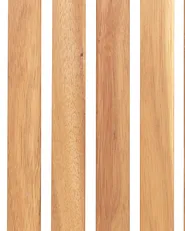 Set mit 2 Stühlen und Sitzkissen SASSARI PREMIUM zertifiziertes Akazienholz Rot_991234