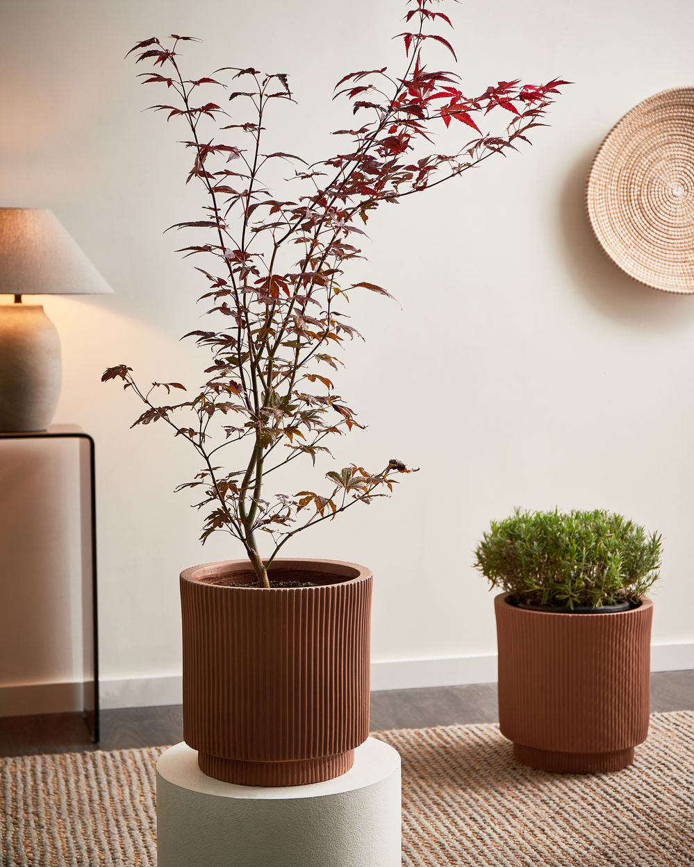 Plant Pot DARIA 30 cm Brown