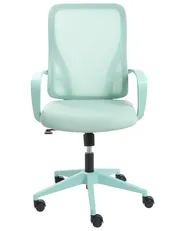 Bürostuhl LUMA Mintgrün_1048823
