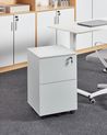 Büroschrank JOHNSON Hellgrau