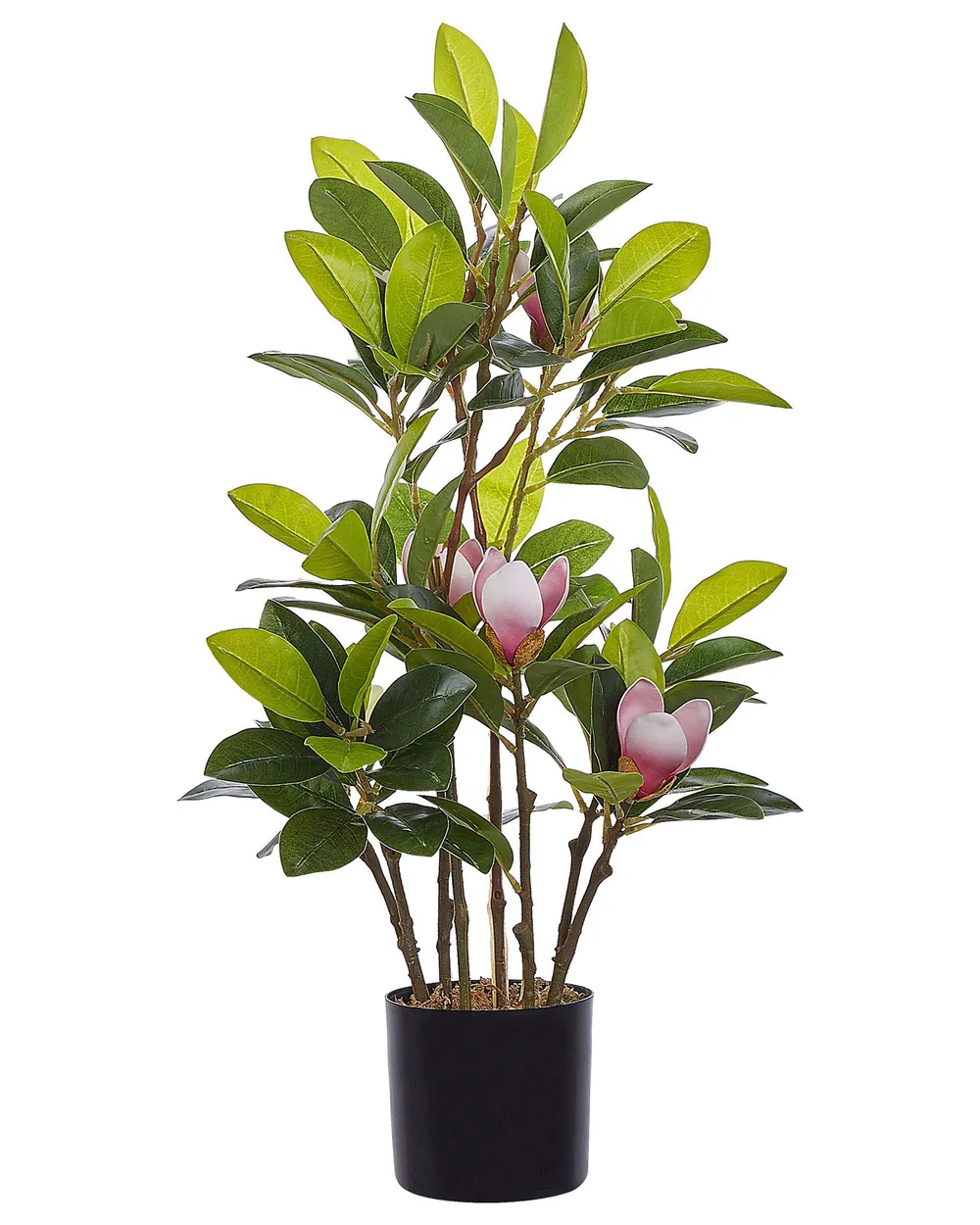 Kunstpflanze MAGNOLIA 70 cm Grün