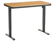 Electric Adjustable Standing Desk PENLY 120 cm 60 cm with USB Port Black/ Light Brown_1031375