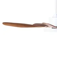 Deckenventilator mit Licht BARBET mit Fernbedienung LED Hellbraun_1032023