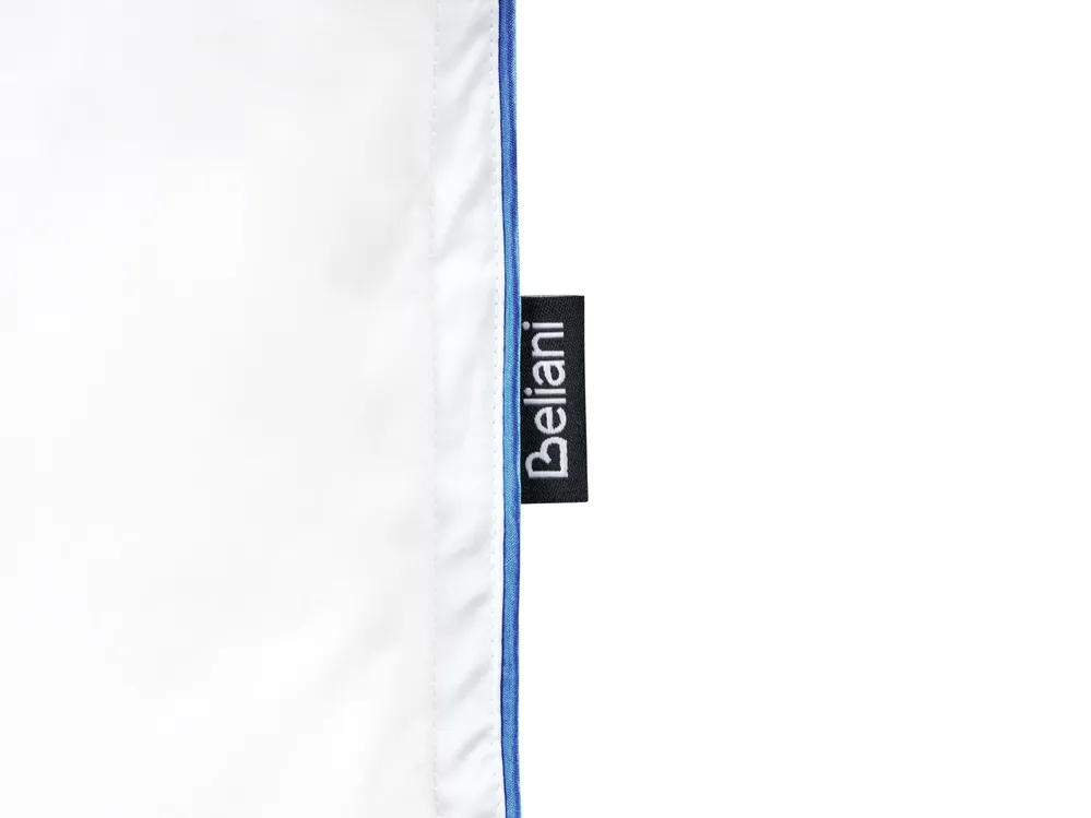 Bettdecke Entenfedern und Daunen Leicht Warm CERVINO 200 x 200 cm_1023444