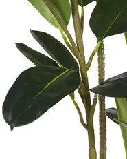 Artificial Plant FICUS ELASTICA 134 cm Green_774497