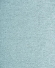 Set of 2 Dining Chairs PENNY Fabric Light Blue_1007351