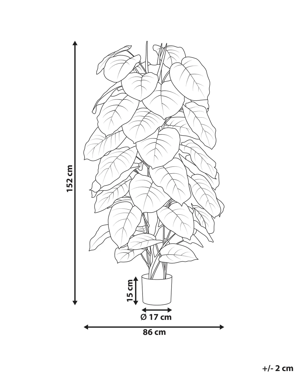Kunstpflanze DIEFFENBACHIA 152 cm Grün_994017
