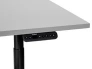 Schreibtisch elektrisch höhenverstellbar DESTINAS 120 cm 72 cm Grau / Schwarz_899651